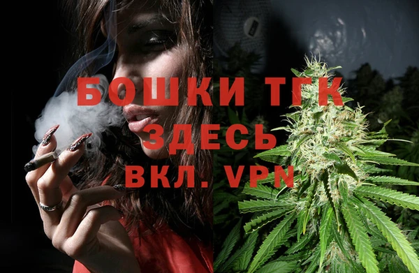 прущие грибы Баксан
