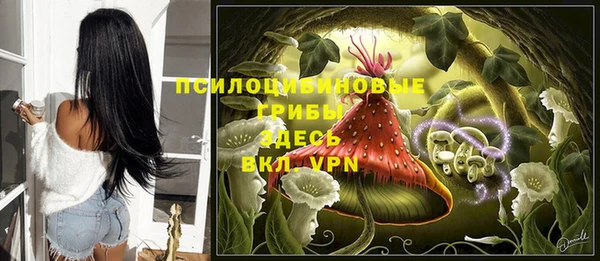 стаф Армянск